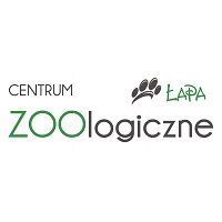 Łapa
